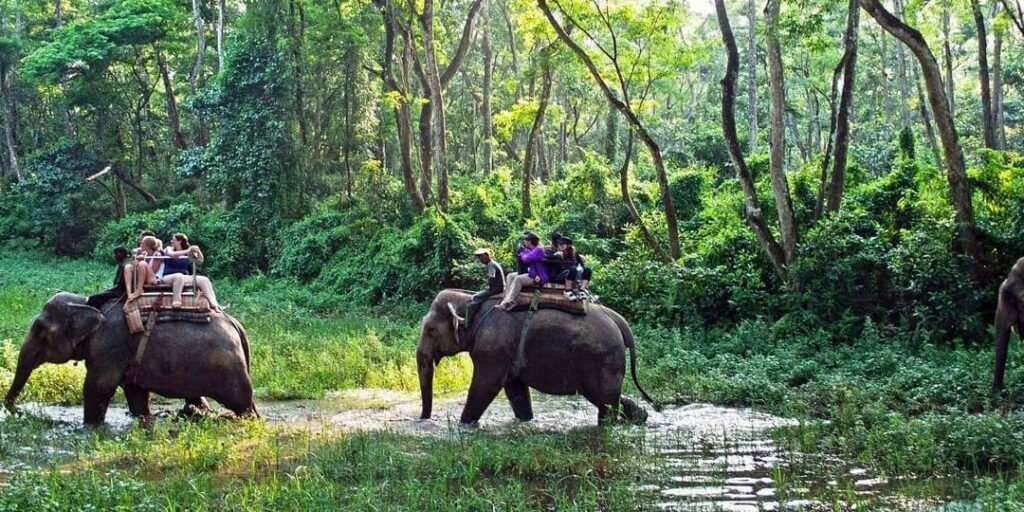 Elephant Safari in Chitwan