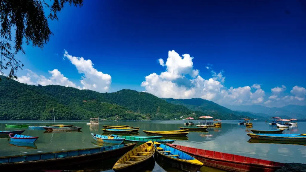 Phewa lake