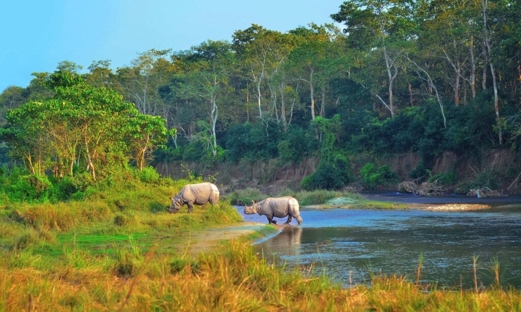 Chitwan National Park